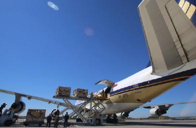 青島國際物理與貨運代理公司有什么不同?