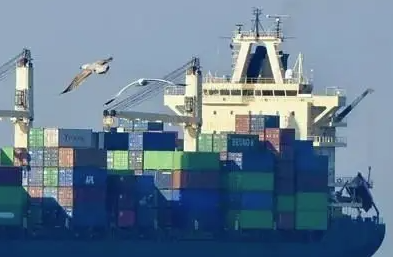 天津貨代公司帶您了解貨代公司的主要業(yè)務(wù)有哪些?