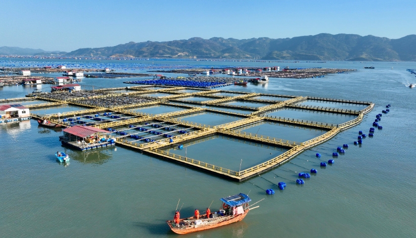 俄羅斯海運